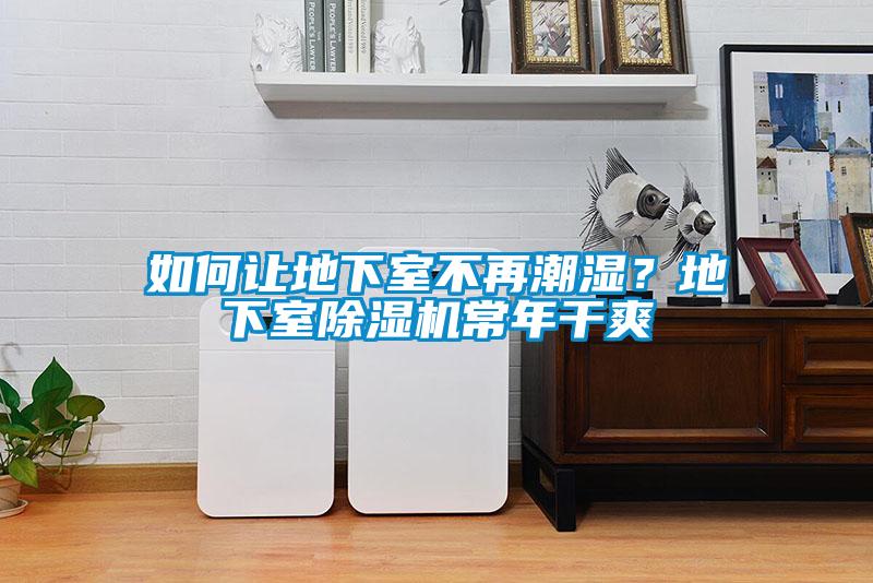 如何让地下室不再潮湿？地下室除湿机常年干爽