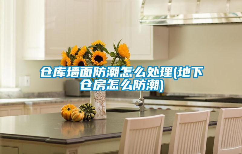 仓库墙面防潮怎么处理(地下仓房怎么防潮)