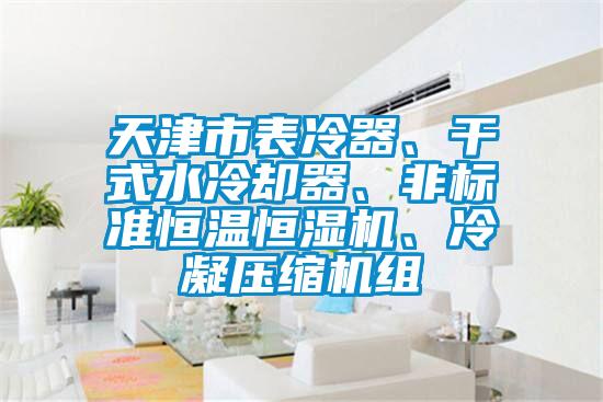 天津市表冷器、干式水冷却器、非标准恒温恒湿机、冷凝压缩机组