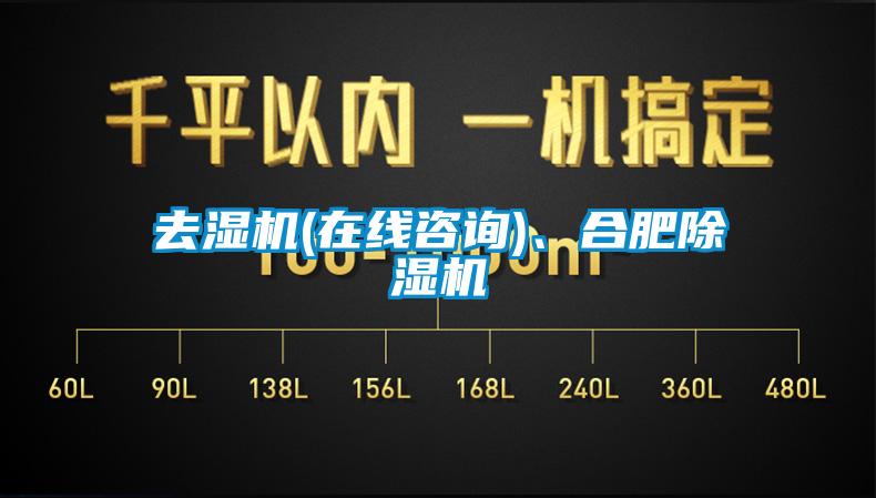 去湿机(在线咨询)、合肥除湿机