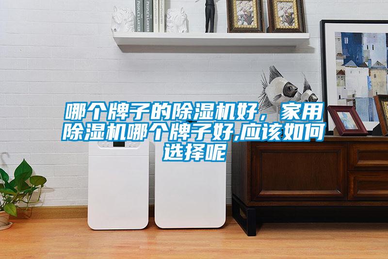 哪个牌子的除湿机好，家用除湿机哪个牌子好,应该如何选择呢