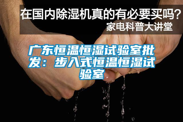 广东恒温恒湿试验室批发:步入式恒温恒湿试验室