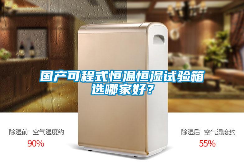 国产可程式恒温恒湿试验箱选哪家好？