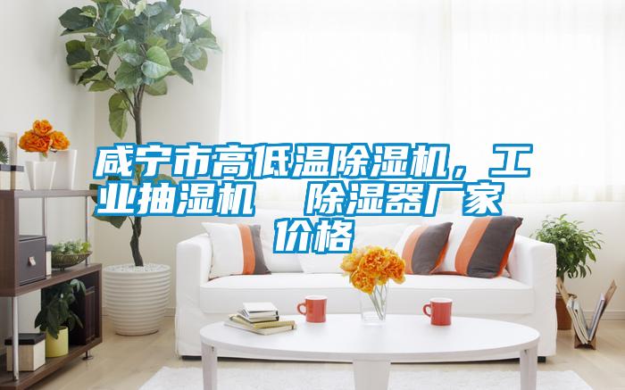 咸宁市高低温除湿机，工业抽湿机  除湿器厂家 价格