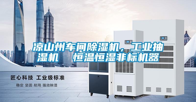 凉山州车间除湿机，工业抽湿机  恒温恒湿非标机器