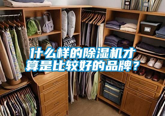 什么样的除湿机才算是比较好的品牌？