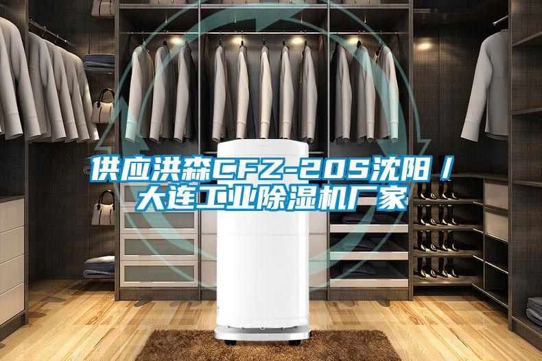 供应洪森CFZ-20S沈阳／大连工业除湿机厂家