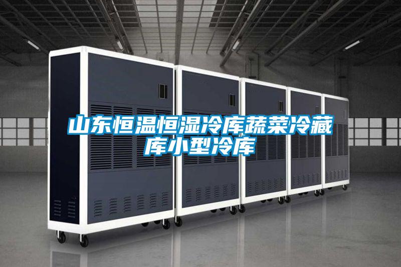 山东恒温恒湿冷库蔬菜冷藏库小型冷库