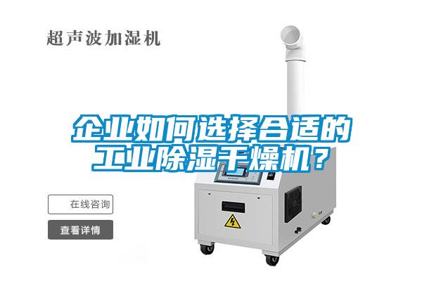 企业如何选择合适的工业除湿干燥机？
