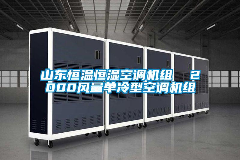 山东恒温恒湿空调机组  2000风量单冷型空调机组