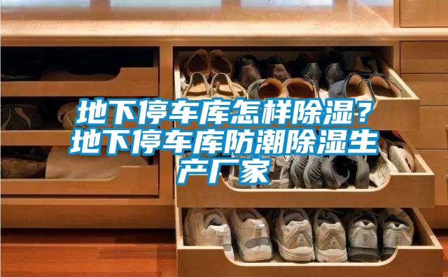 地下停车库怎样除湿？地下停车库防潮除湿生产厂家