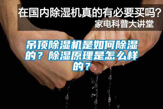 吊顶除湿机是如何除湿的？除湿原理是怎么样的？