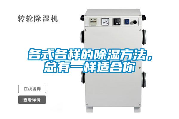 各式各样的除湿方法，总有一样适合你