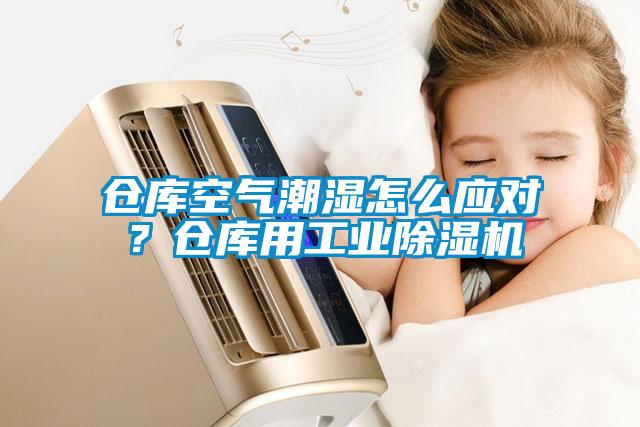 仓库空气潮湿怎么应对？仓库用工业除湿机