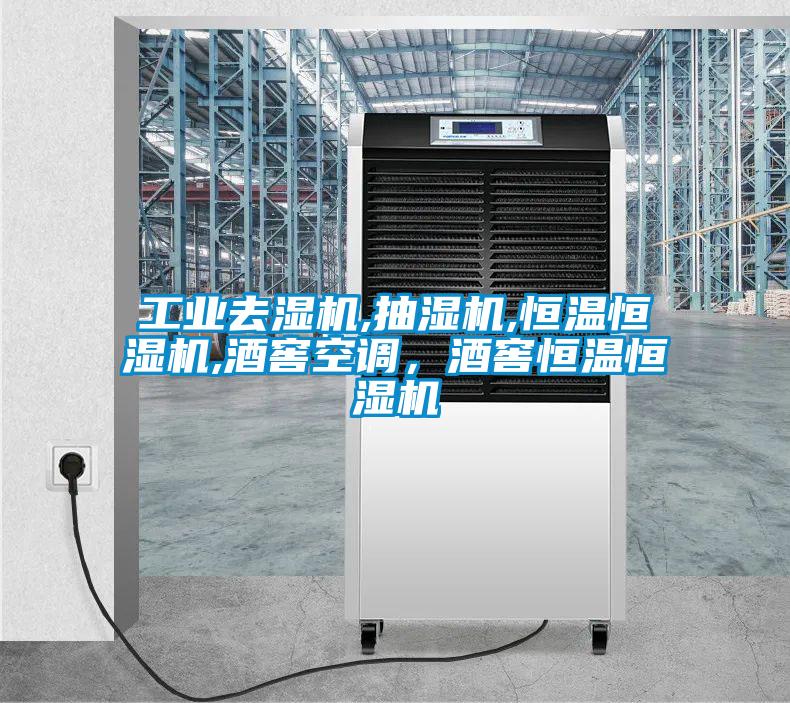 工业去湿机,抽湿机,恒温恒湿机,酒窖空调，酒窖恒温恒湿机