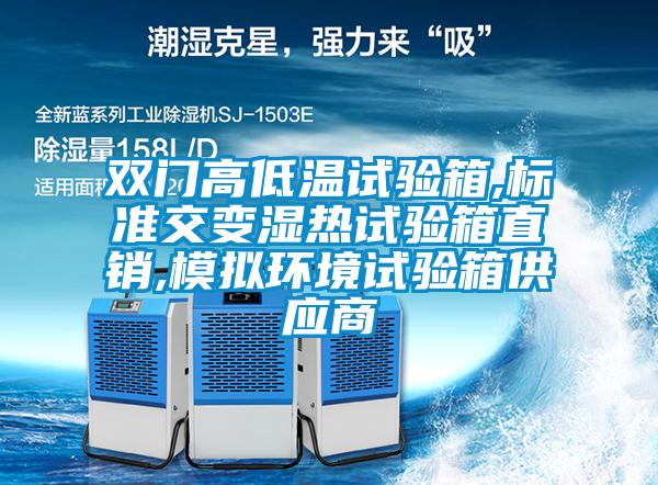 双门高低温试验箱,标准交变湿热试验箱直销,模拟环境试验箱供应商