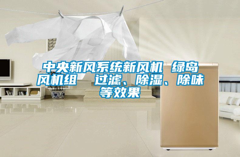 中央新风系统新风机 绿岛风机组  过滤、除湿、除味等效果