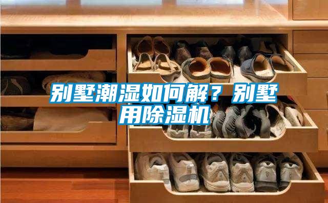 别墅潮湿如何解？别墅用除湿机