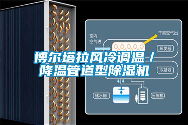 博尔塔拉风冷调温/降温管道型除湿机