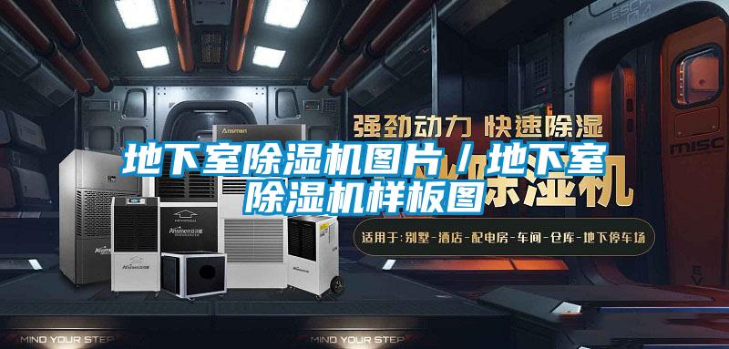 地下室除湿机图片/地下室除湿机样板图