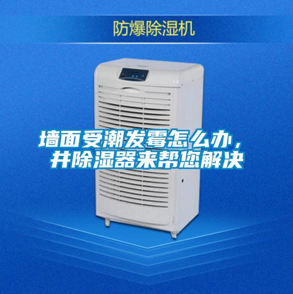 墙面受潮发霉怎么办，東井除湿器来帮您解决