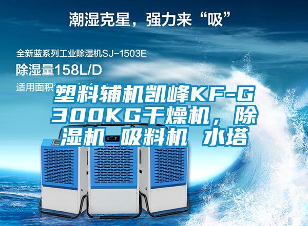 塑料辅机凯峰KF-G300KG干燥机,除湿机 吸料机 水塔