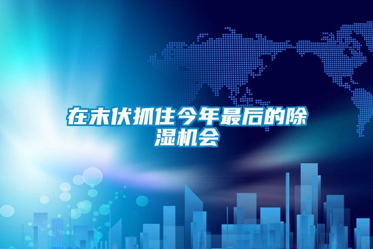 在末伏抓住今年最后的除湿机会