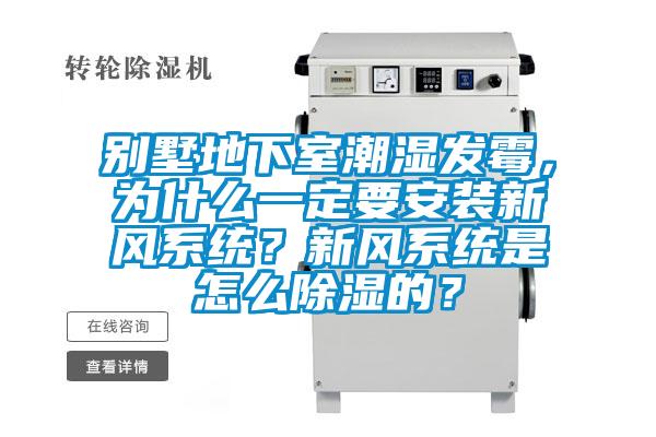别墅地下室潮湿发霉，为什么一定要安装新风系统？新风系统是怎么除湿的？