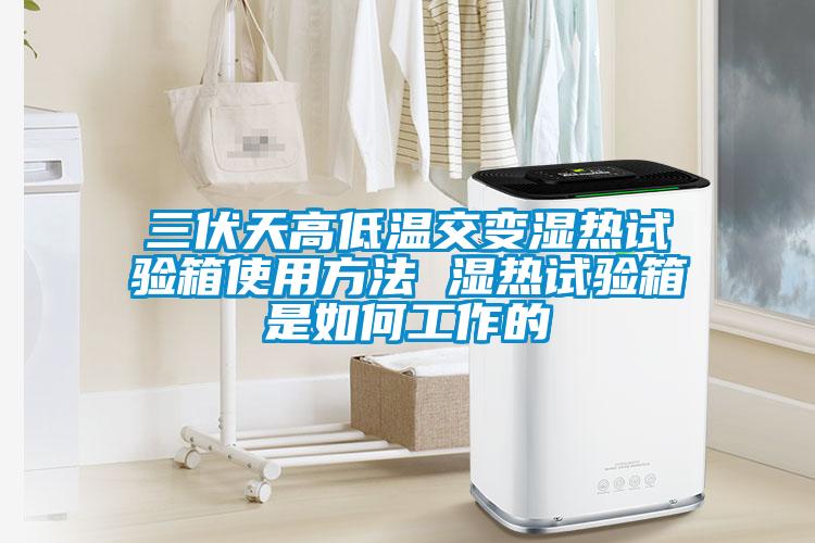 三伏天高低温交变湿热试验箱使用方法 湿热试验箱是如何工作的