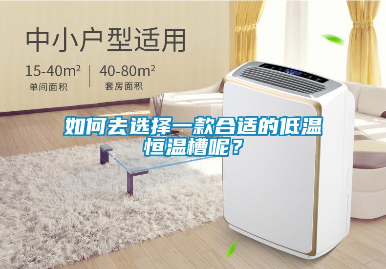 如何去选择一款合适的低温恒温槽呢？