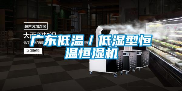 广东低温／低湿型恒温恒湿机