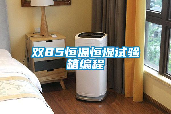 双85恒温恒湿试验箱编程