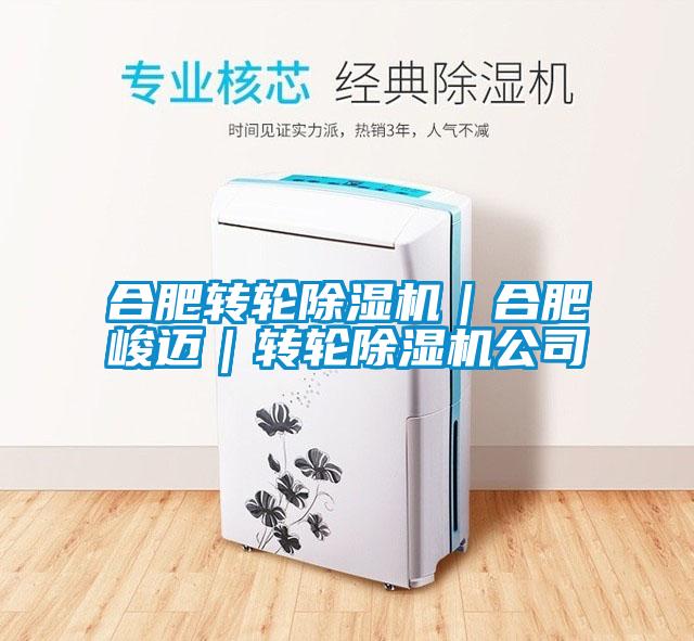 合肥转轮除湿机｜合肥峻迈｜转轮除湿机公司
