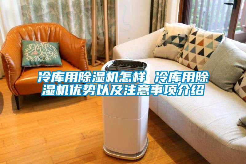 冷库用除湿机怎样 冷库用除湿机优势以及注意事项介绍