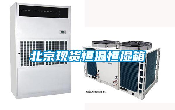 北京现货恒温恒湿箱