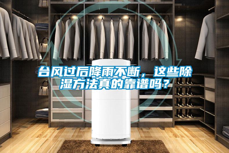 台风过后降雨不断，这些除湿方法真的靠谱吗？