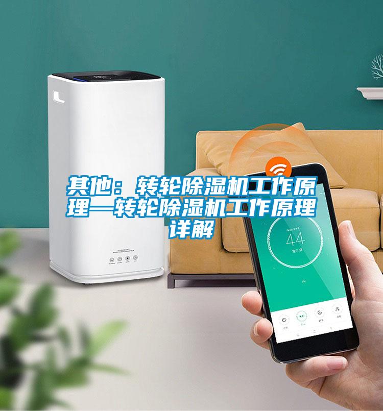 其他:转轮除湿机工作原理—转轮除湿机工作原理详解