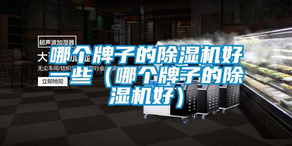 哪个牌子的除湿机好一些(哪个牌子的除湿机好)