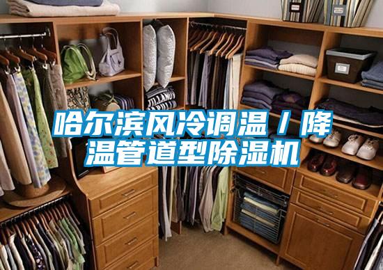 哈尔滨风冷调温/降温管道型除湿机