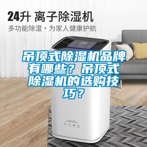 吊顶式除湿机品牌有哪些？吊顶式除湿机的选购技巧？