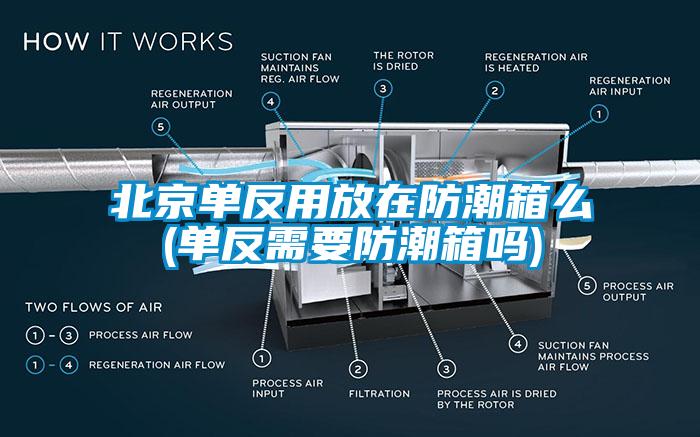 北京单反用放在防潮箱么(单反需要防潮箱吗)