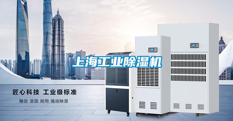 上海工业除湿机