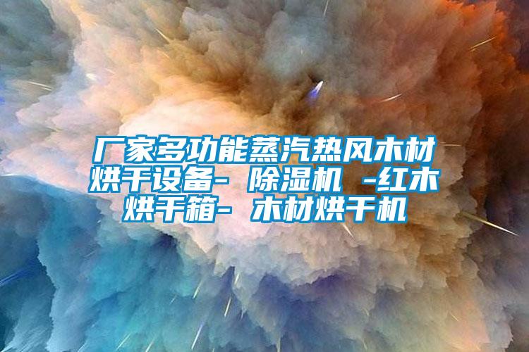 厂家多功能蒸汽热风木材烘干设备- 除湿机 -红木烘干箱- 木材烘干机