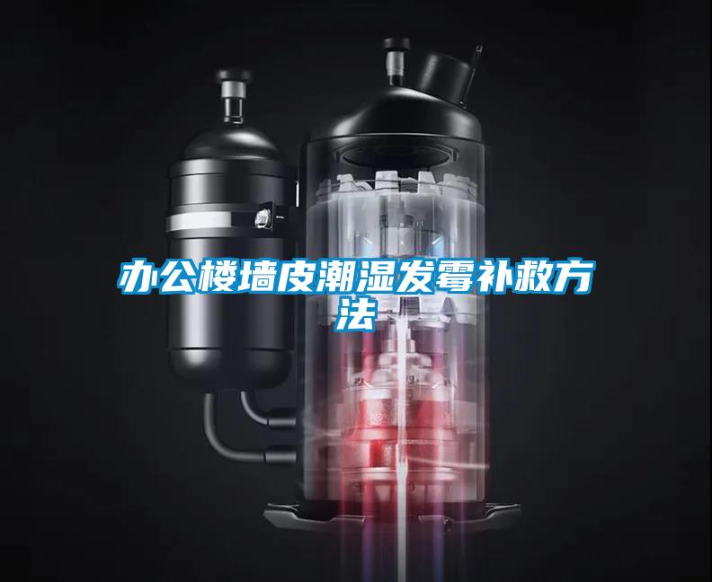 办公楼墙皮潮湿发霉补救方法