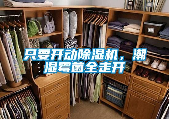 只要开动除湿机，潮湿霉菌全走开