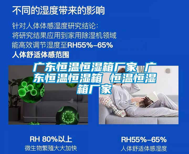 广东恒温恒湿箱厂家 广东恒温恒湿箱 恒温恒湿箱厂家