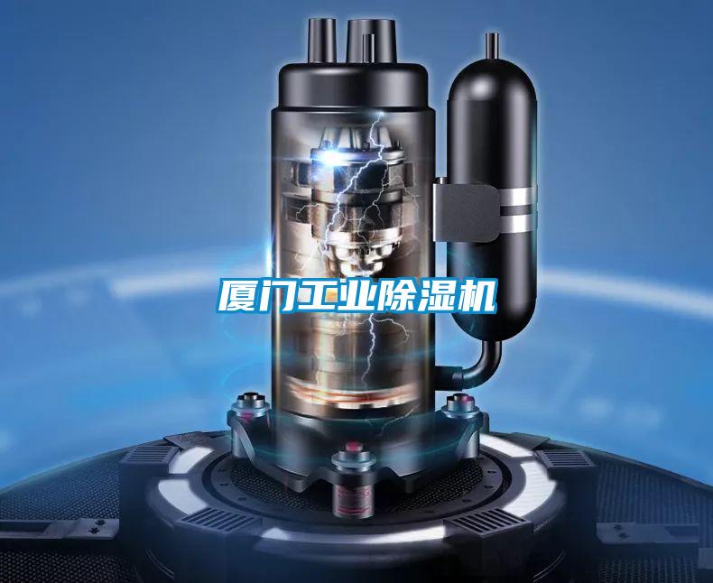 厦门工业除湿机