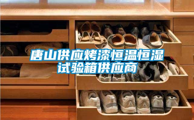 唐山供应烤漆恒温恒湿试验箱供应商