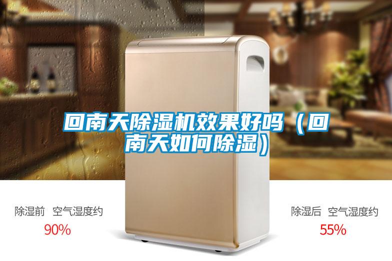 回南天除湿机效果好吗（回南天如何除湿）