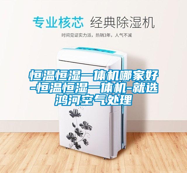 恒温恒湿一体机哪家好-恒温恒湿一体机-就选鸿河空气处理